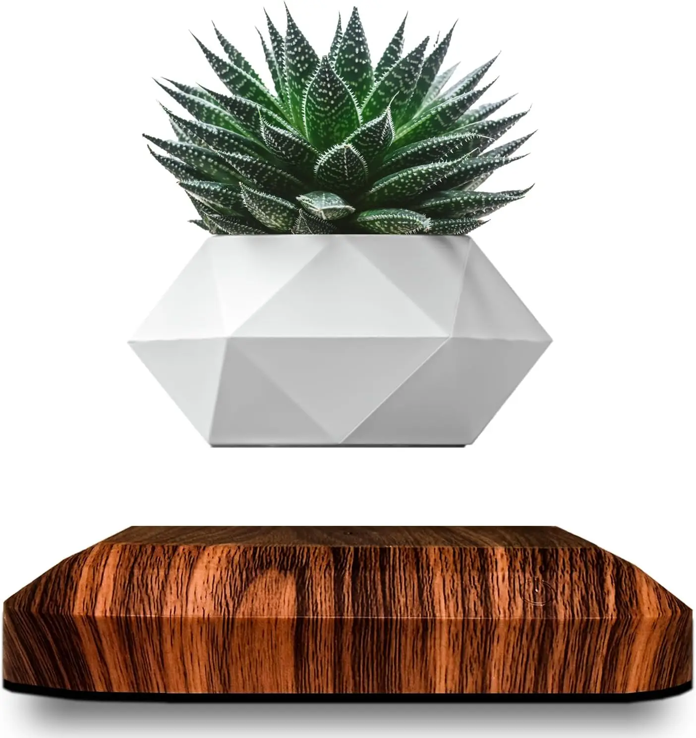 

Floating Plant Pot - Authentic Levitating Plant Pot for Air Plants, Rotating Air Bonsai Planter, Floating Planter, Bonsai Pot, U