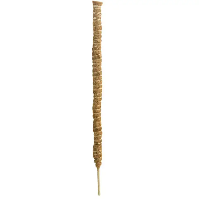 100cm