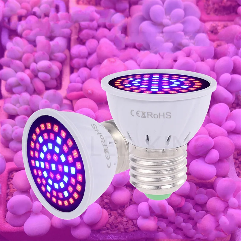 300LED 풀 스펙트럼 E27 220V, 더 빠른 LED 성장 조명 스폿 램프, UV IR 레드 블루, 꽃 식물 수경 재배 전구용, 60 80 200