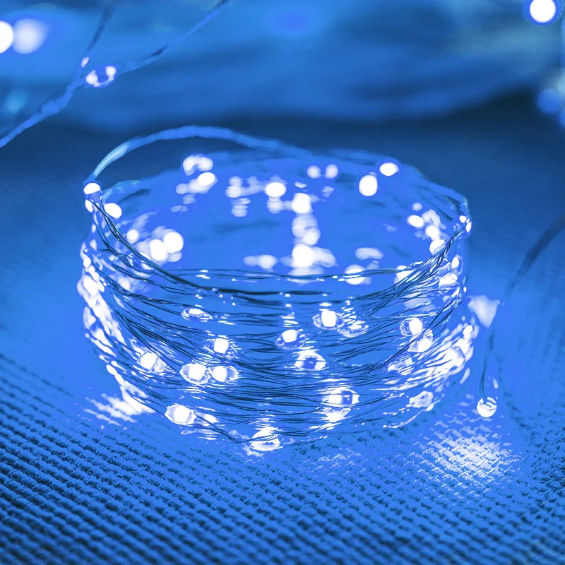 Battery-Powered LED Fairy String Lights