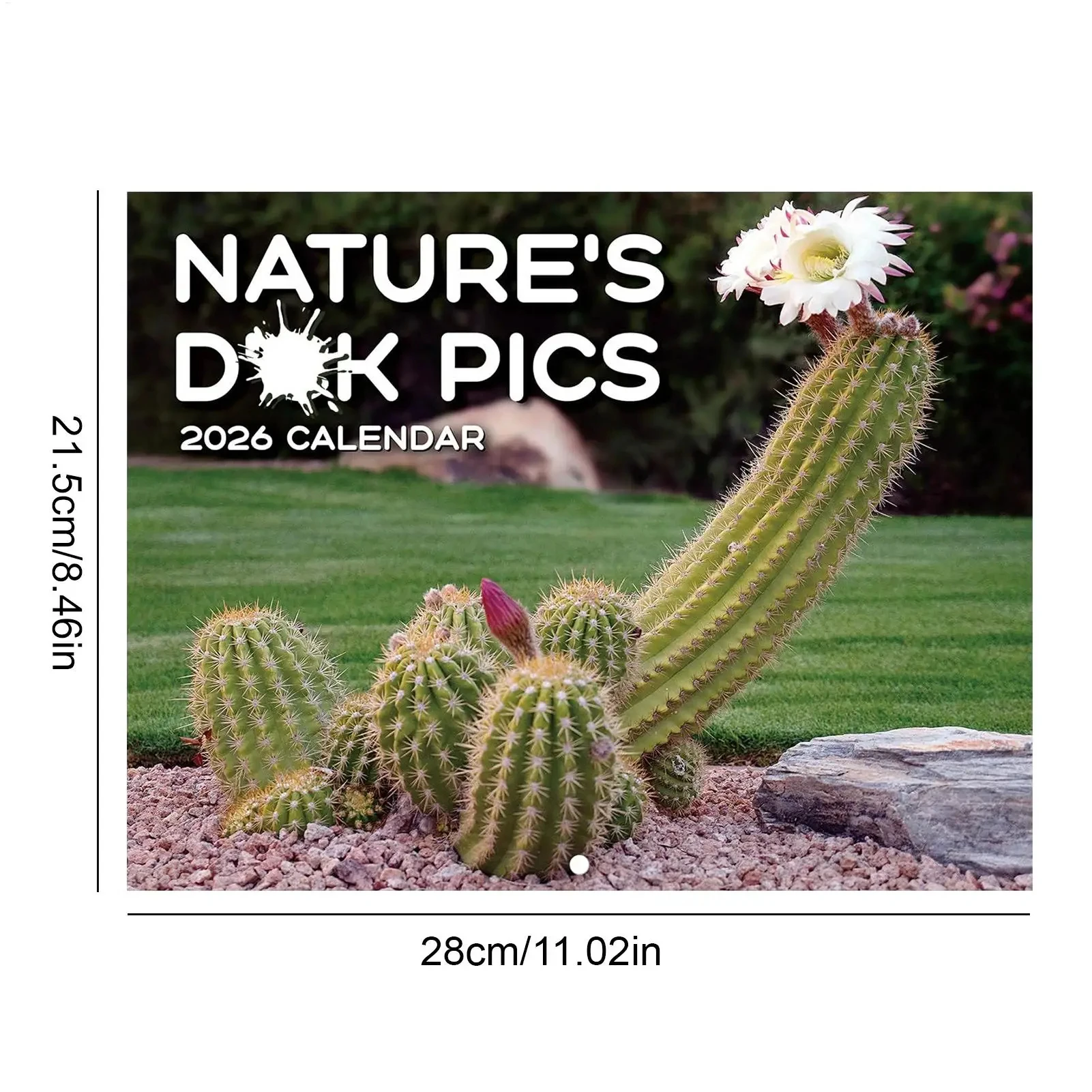 2026 Wall Calendar Funny Cactus Calendar Humorous Planner for Visual Display Scheduling Time Management Reference School