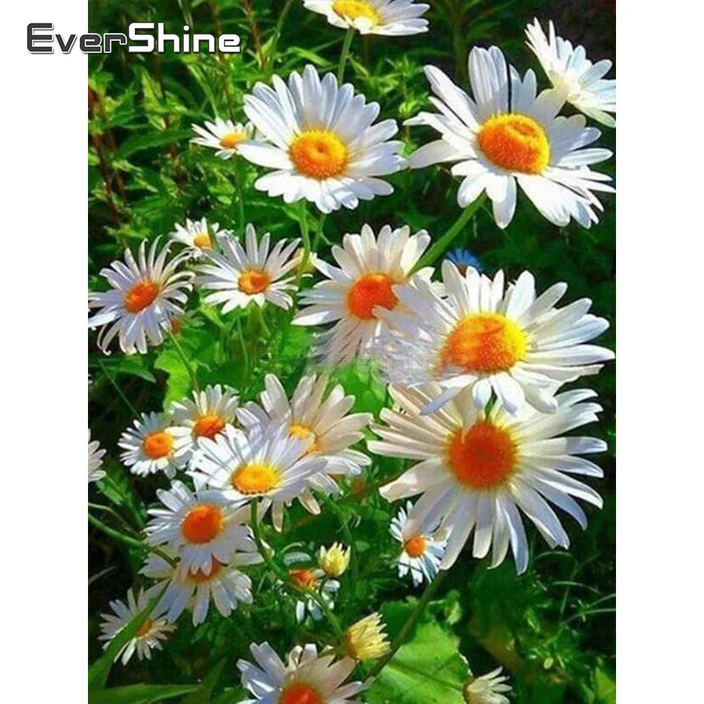 Diamond Painting EverShine 5D Daisy Complete Kit Full Square Mosaic Embroidery Flower Cross Stitch Scenery Handmade Hobby