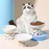 Ceramic Cat Bowl Protects Cervical Spine, Prevents Black Chin, Cat Food Snacks, Pet Drinking Water Bowl, Puppy Food Bowl 5