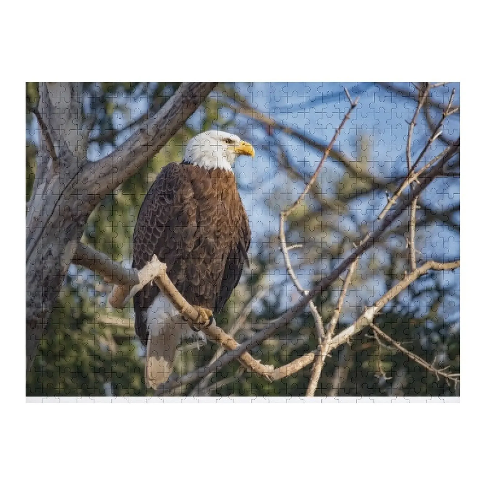 American Bald Eagle Jigsaw Puzzle Personalized Gifts Custom Photo Customizeds For Kids Puzzle