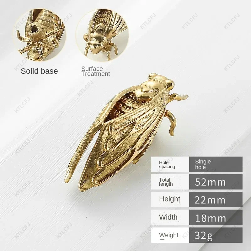Cicada