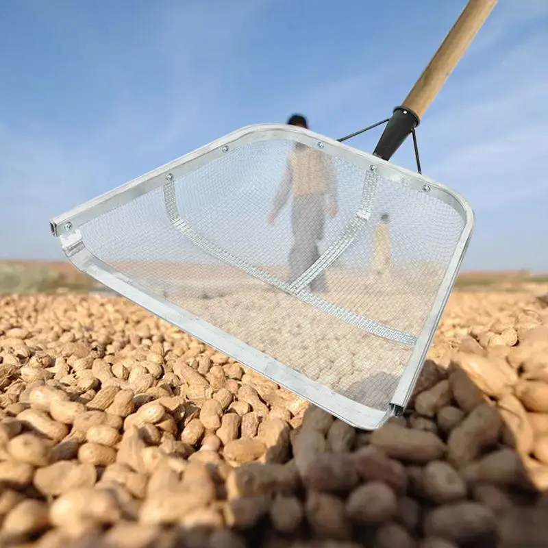 Setaccio Da Giardino In Acciaio Inox 20cm - 4 Maglie 4/10/20/60 Per Terriccio E Filtrazione - Foto 6