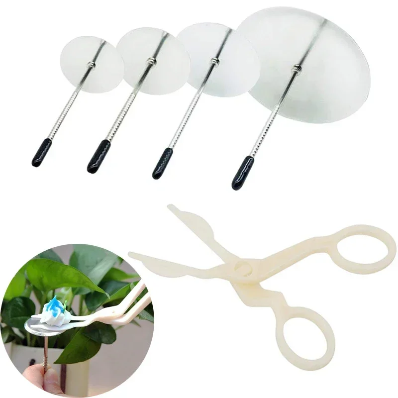 Cake Decorating Tip Set Cake Icing Nozzles Baking Nozzle Set Cake Decorating Nozzle Set 5Pcs Cake Flower Nail and Flower Lifters Cake Decorating Tool Nail Lifters Kit Icing Flowers Decoration Baking Tool