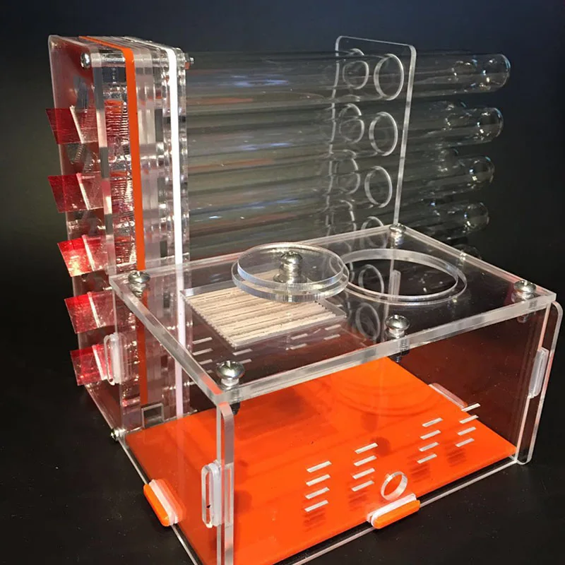 Anthill Farm Ants Ants Test Tube Acrylic Tubes Ants House Ant