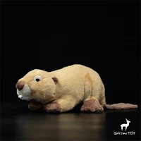 Beaver High Fidelity Anime Cute Otter Plushie Lutra Plush Toys Lifelike Animals Simulation Stuffed Doll Kawai Toy Gifts For Kids 1