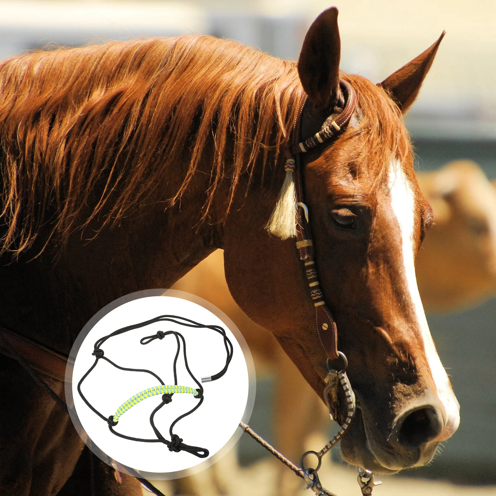 

Регулируемая Веревка с несколькими узлами, плетеная веревка для головы лошади, аксессуар для лошади, полностью закрывает узлы, нейлон