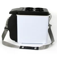 Réfrigérateur de voiture portable, boîte de chauffage et de refroidissement, mini boîte de conservation, indispensable, 6l, 12V 3