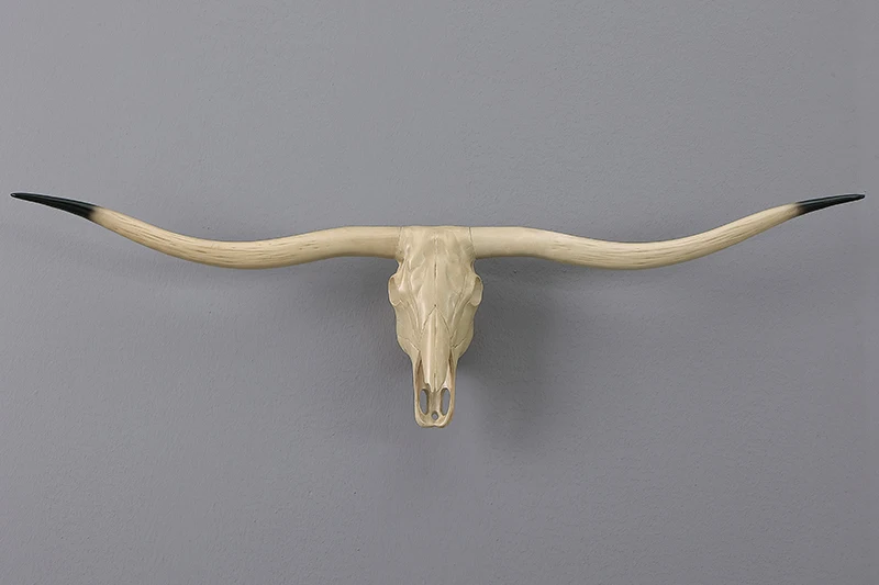 Langhörniger Kuh-Schädel Wanddekoration - 3D Tierkopf-Skulptur, Geeignet für Zuhause, Bar und Rustikale Inneneinrichtung – Detail 6