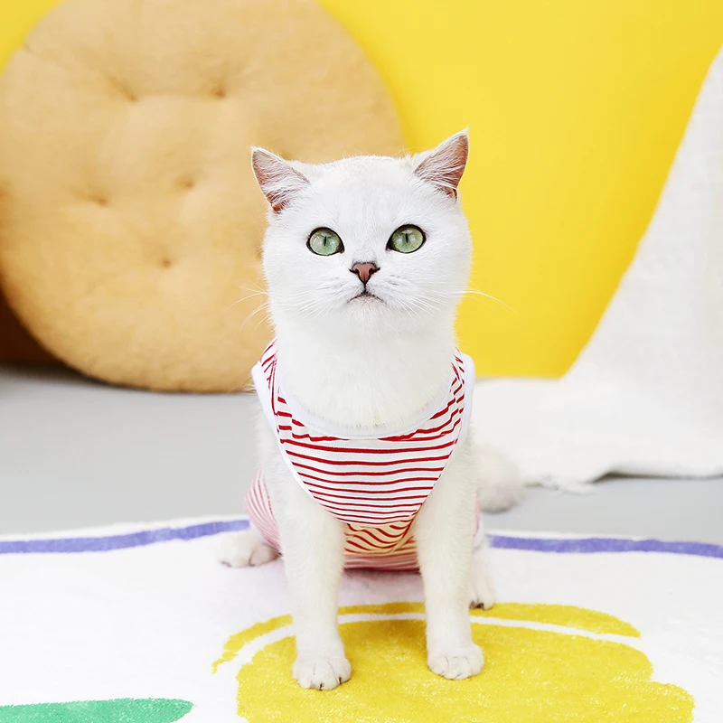 Kitten Puppy Pet Vest for Anti-Licking Surgery Recovery