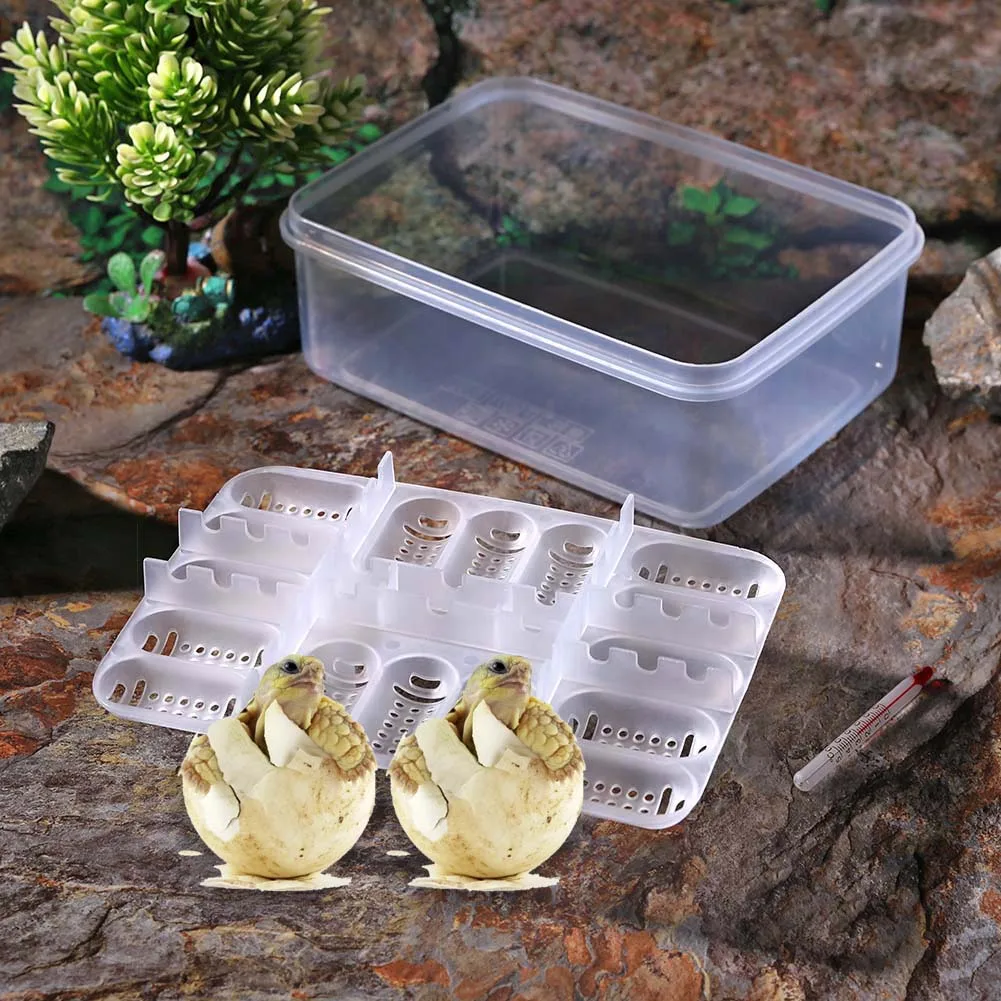 Plastic Reptiles Egg Incubator Tray Lizard Snake Eggs Hatcher Box Case 16 Grids AliExpress