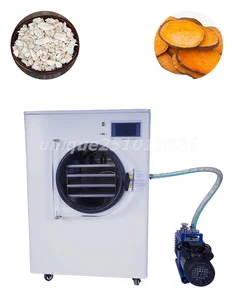 Small Vacuum Fruit Food Freeze Drying Machine 1-2kg Frozen Vegetables Dried Strawberry Vacuum Drying Machine
