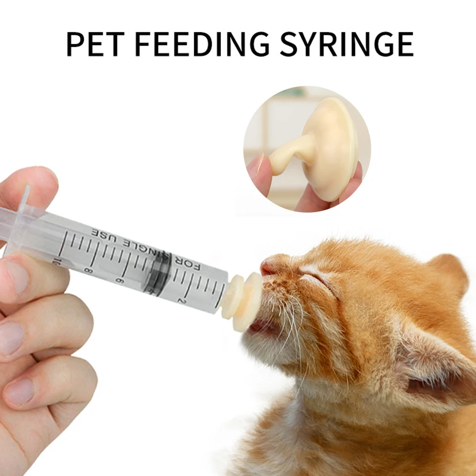 How To Syringe Feed A Cat