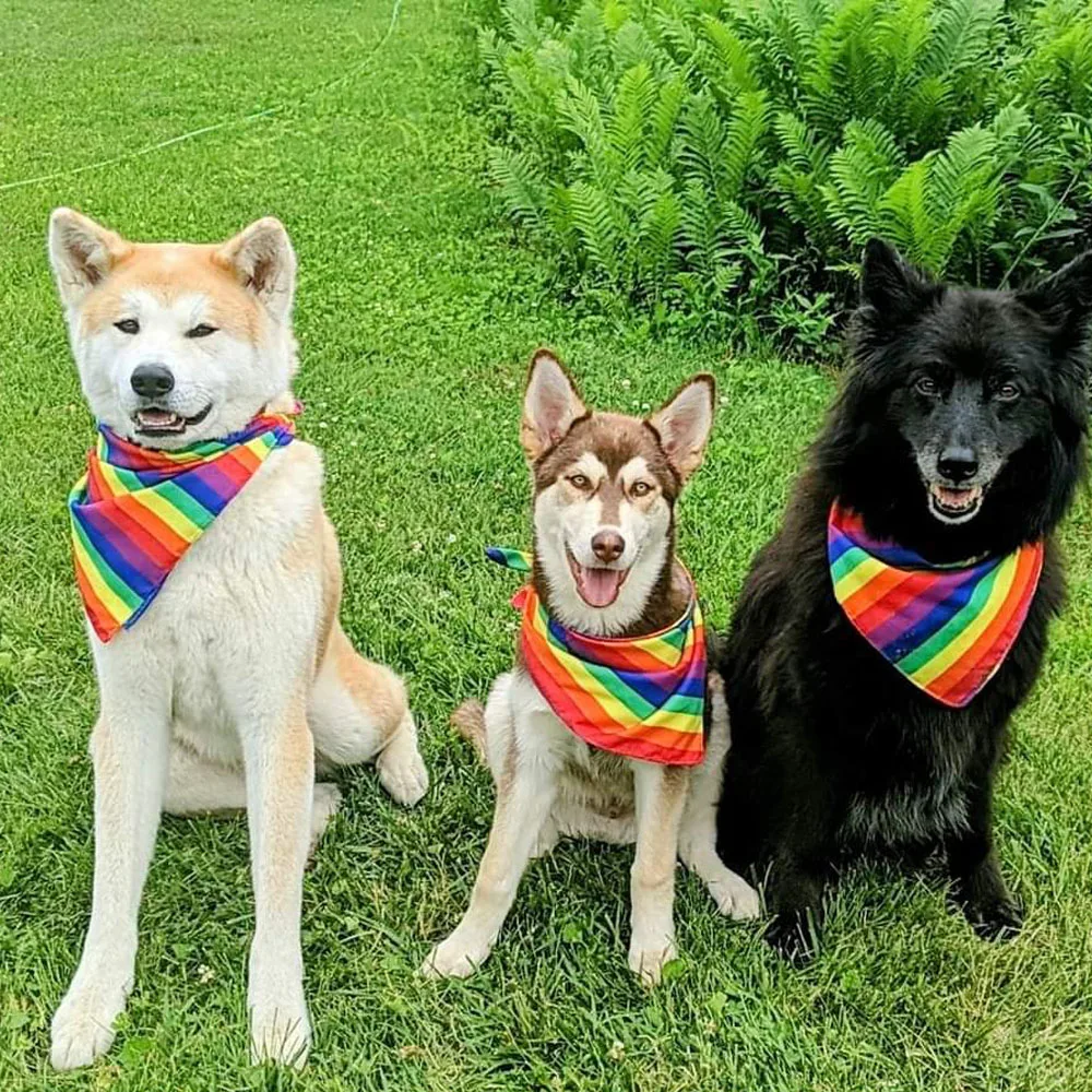 

20 PCS/lot LGBT Rainbow Scarves Pride Dog Bandana Large Gay Cotton Headband for Pride Parties Fast Shipping