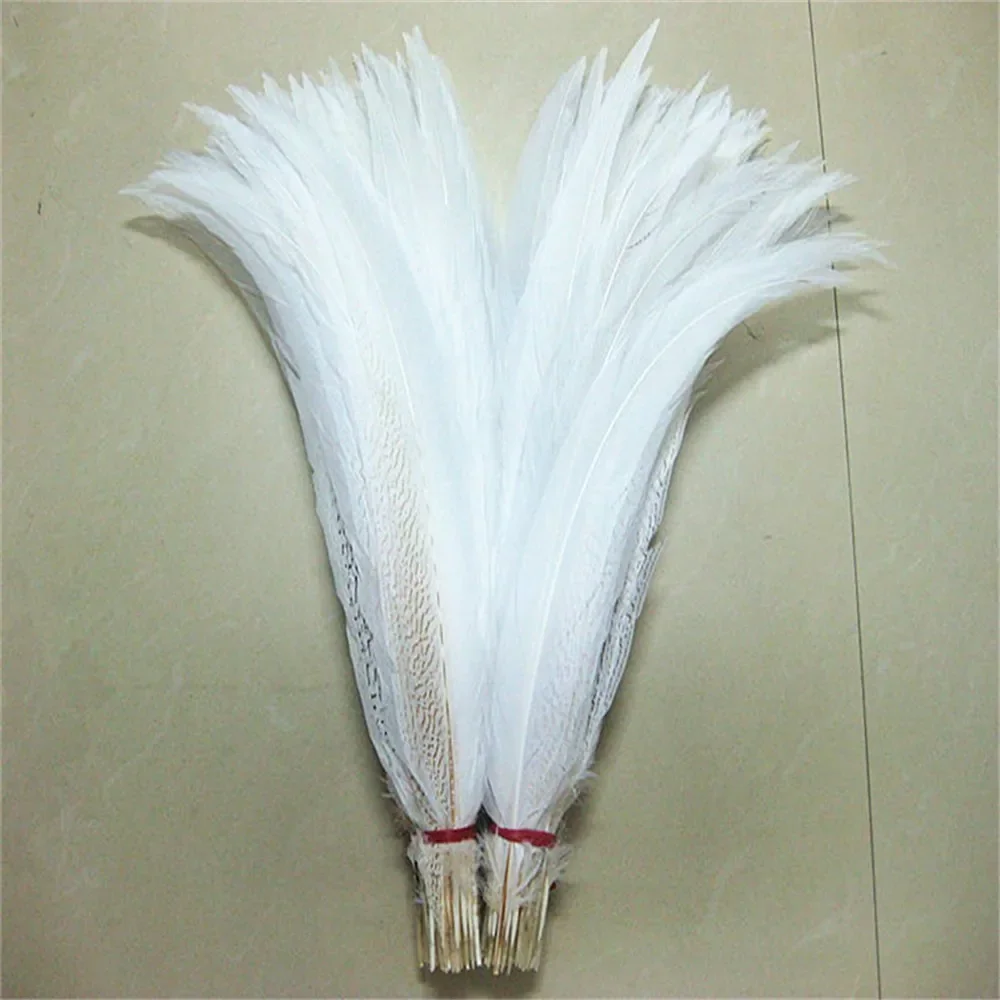 Natural Pheasant Feathers (16-18 inches) - Feathers - Basic Craft