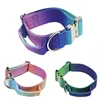 New 5mm Wide Pet Collar Gradual Change Color Traction Set Adjustable Nylon Dog Collar Supplies Medium and Large Dog Accessories 2