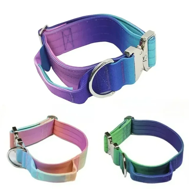 New 5mm Wide Pet Collar Gradual Change Color Traction Set Adjustable Nylon Dog Collar Supplies Medium and Large Dog Accessories 2