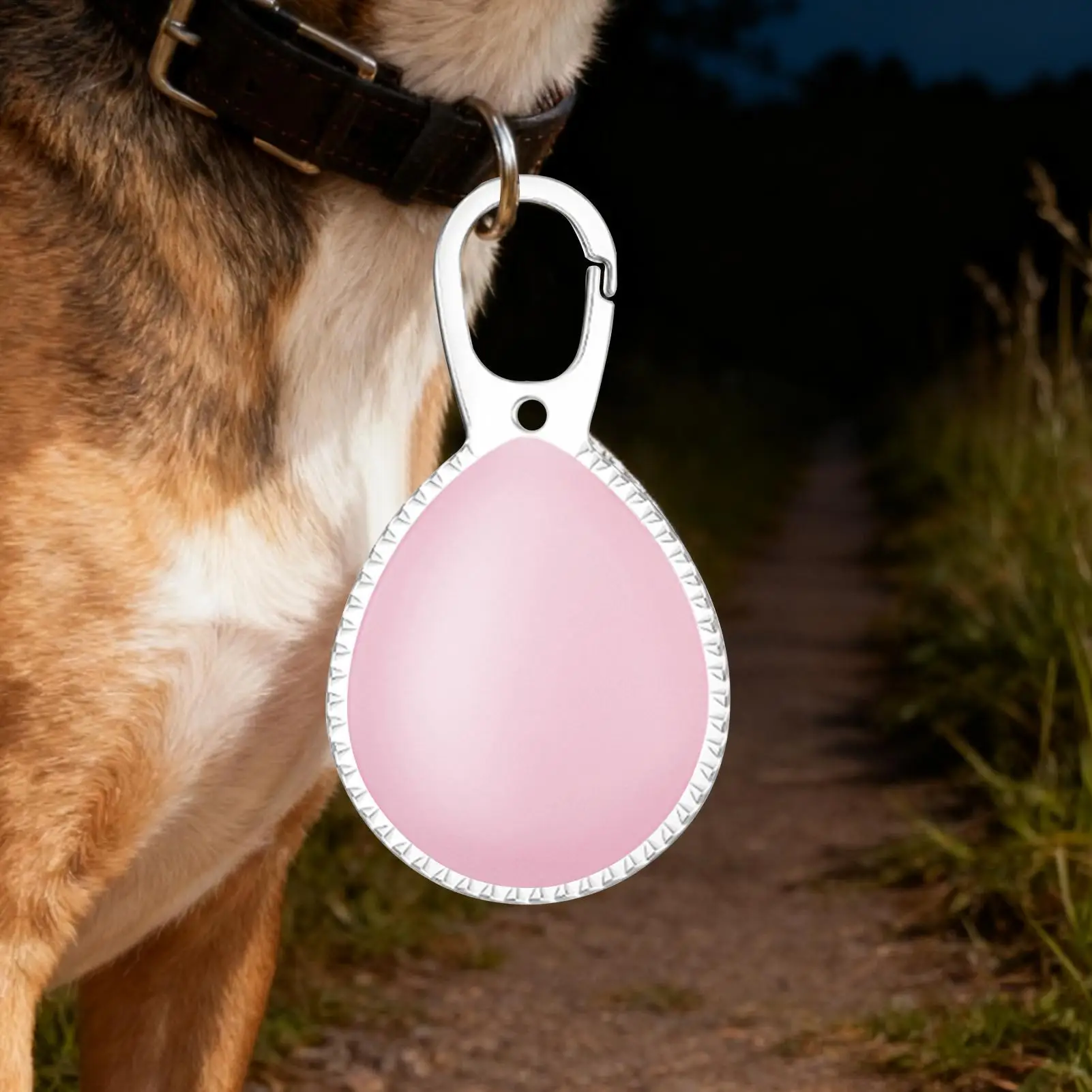 Lights For Dog Collars Rechargeable Clip On 3Pieces Flashlight Waterproof Light For Dog Collar At Night For Evening Walks