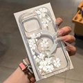 Clear DSX516