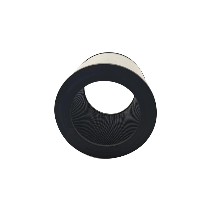 2 Filtri HEPA Di Ricambio FY0611 Per Purificatore Philips 600i, Compatibili Con AC0650 E AC0651/10, NanoProtect, Carbone Attivo Contro Odori E PM2.5