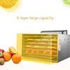 6 Tier Food Dryer Fruit Air Dryer Small Household Dehydrator Wing Bean Pet Snacks Dryer Voltage 110V-220V 4