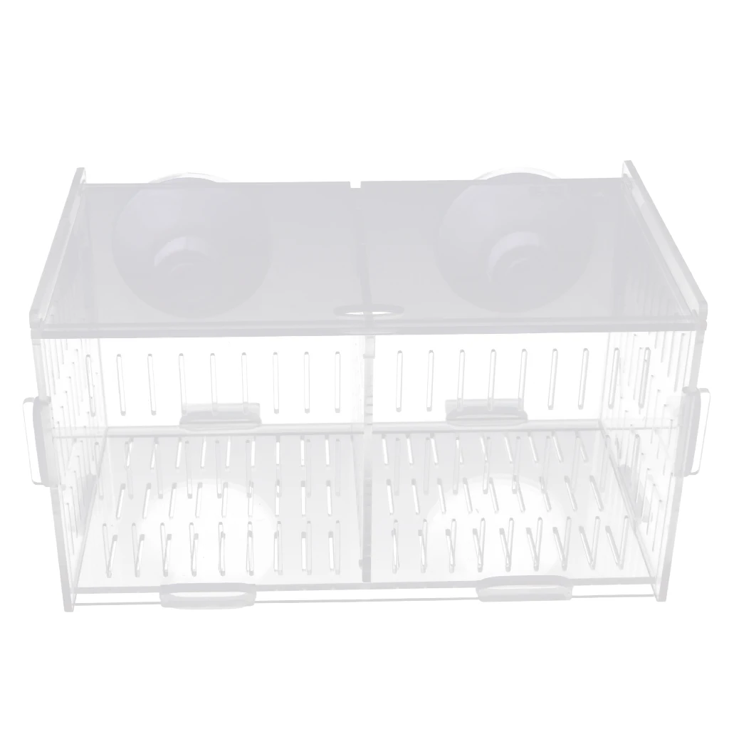 Acrylic Breeder Isolation Divider Hatching Boxes Accessory for Small Baby Fishes Shrimp Clownfish Guppy