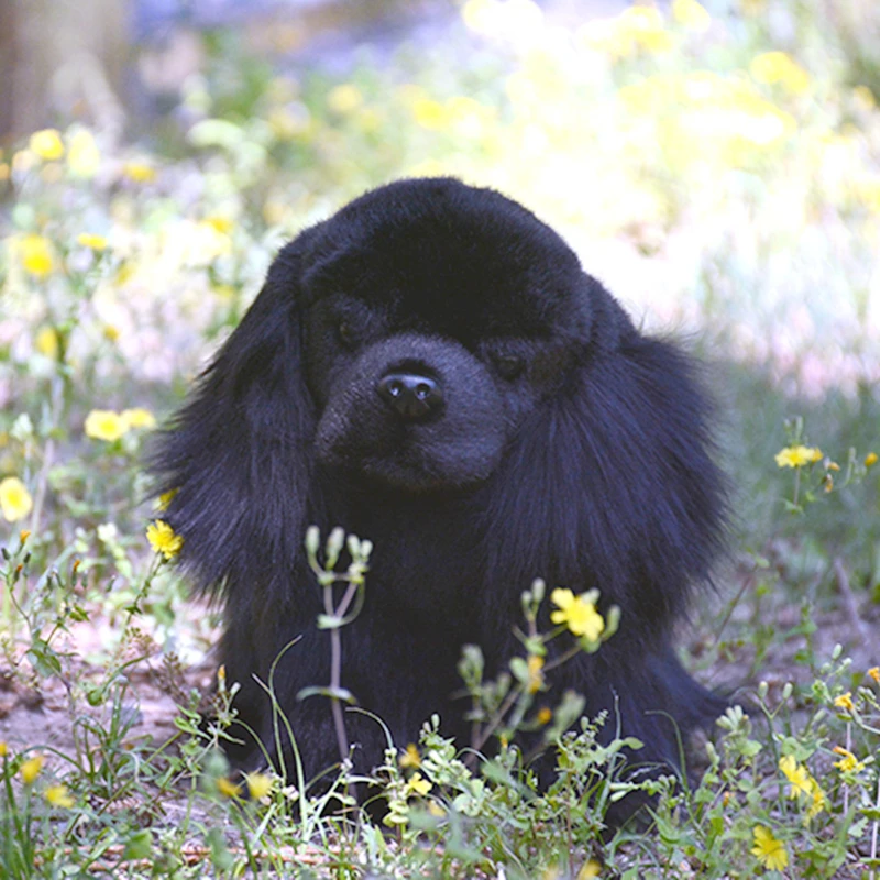 do Cão de Pelúcia Brinquedos de Pelúcia