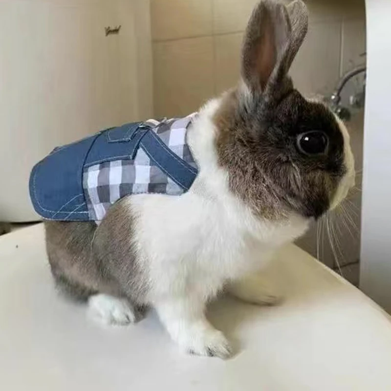 Harnais Et Laisse Réglable Pour Petit Animal – Lapin, Hamster, Furet, Chat – Design Dinosaure Doux