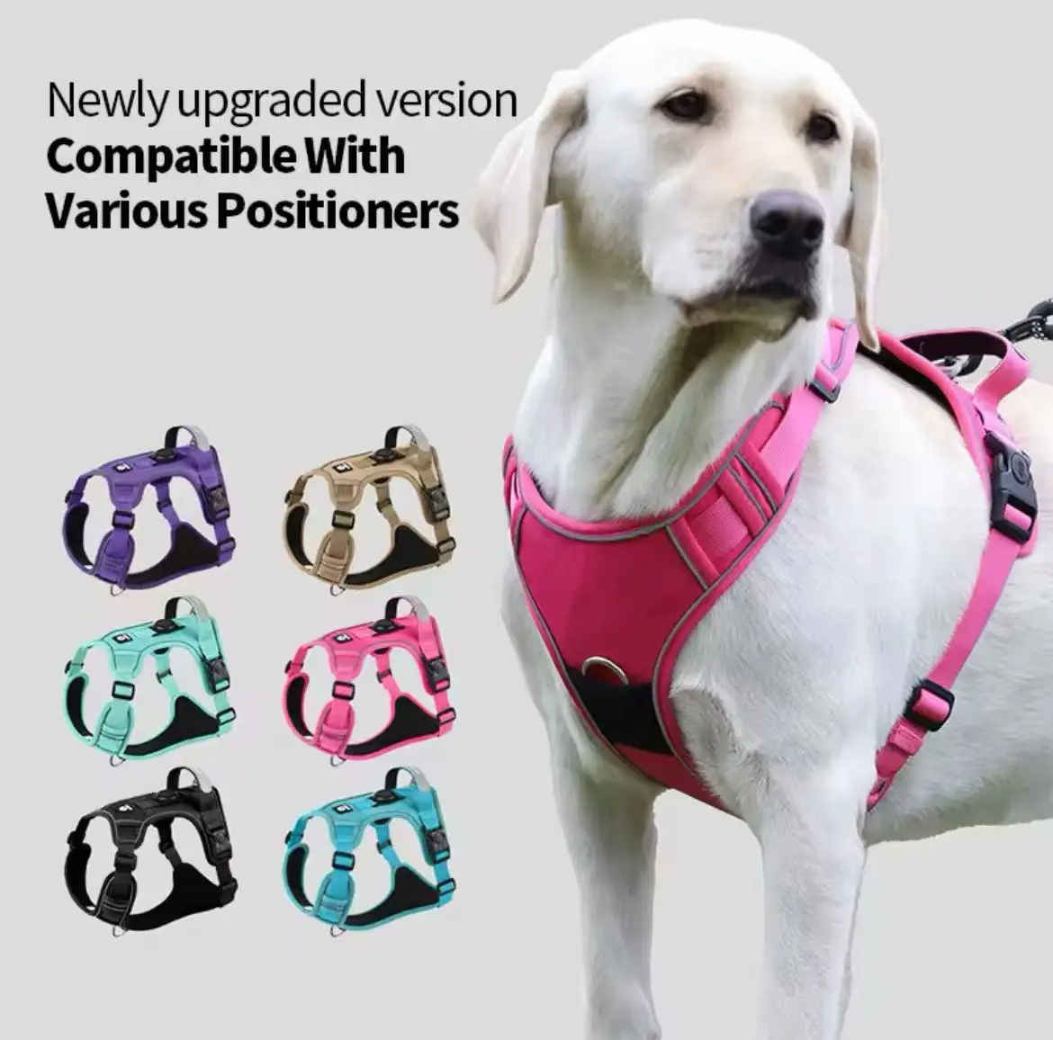 Dog Chest Harness Adaptable to Airtag Chest Harness, Outdoor Training Loss Prevention Dog Leash Dog Chest Harness Adaptable to Airtag Chest Harness, Outdoor Training Loss Prevention Dog Leash