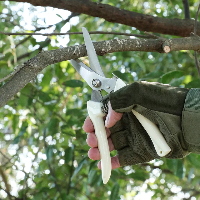 Pruning Garden Scissors Professional Garden Trimmer Orchard Scissors Hand Tools Bonsai Gardening Chopper Pruning Scissors 3