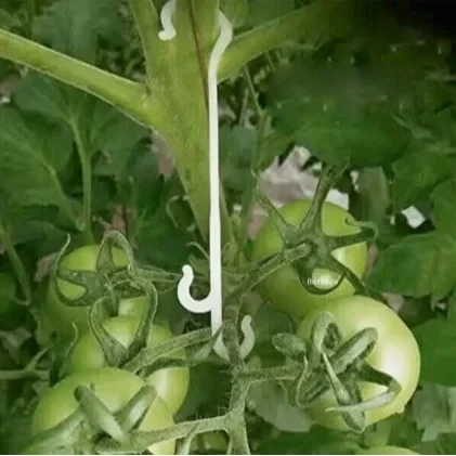 Tomato support hooks J-Hook support clips prevent tomato branches from breaking or falling off plant 10pcs