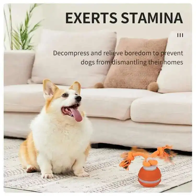 Interactive Motion Dog Toy 3