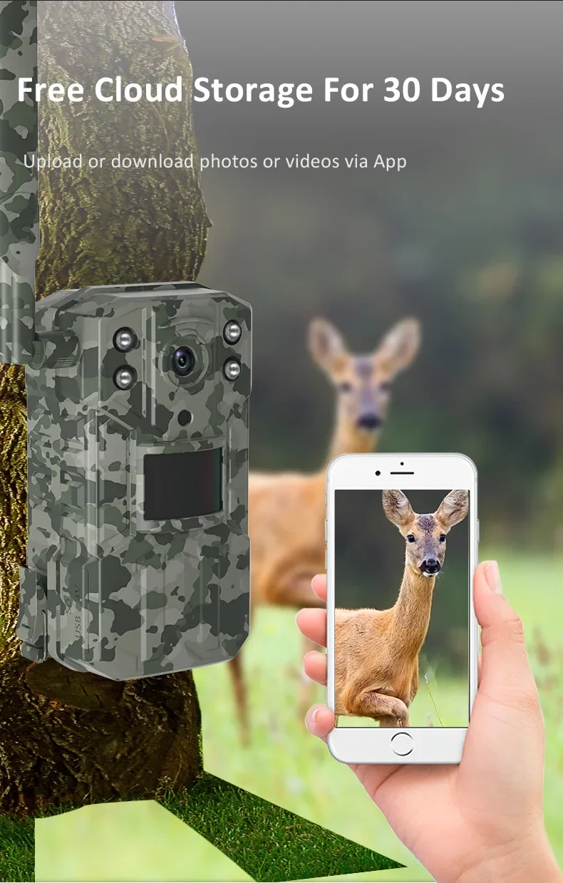 2560x1440 4G Solar Trail Camera, Get free cloud storage for 30 days and upload/download media with this Reconyx 4G solar trail camera.