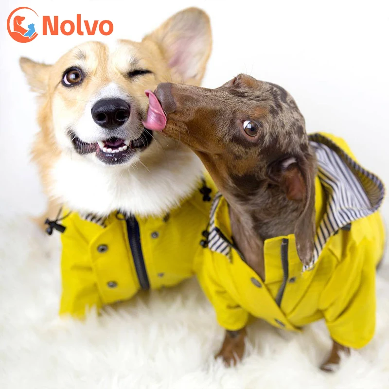 

Yellow Zip Up Dog Raincoat with Reflective Buttons Pockets Water Resistant Adjustable Drawstring & Removable Hood