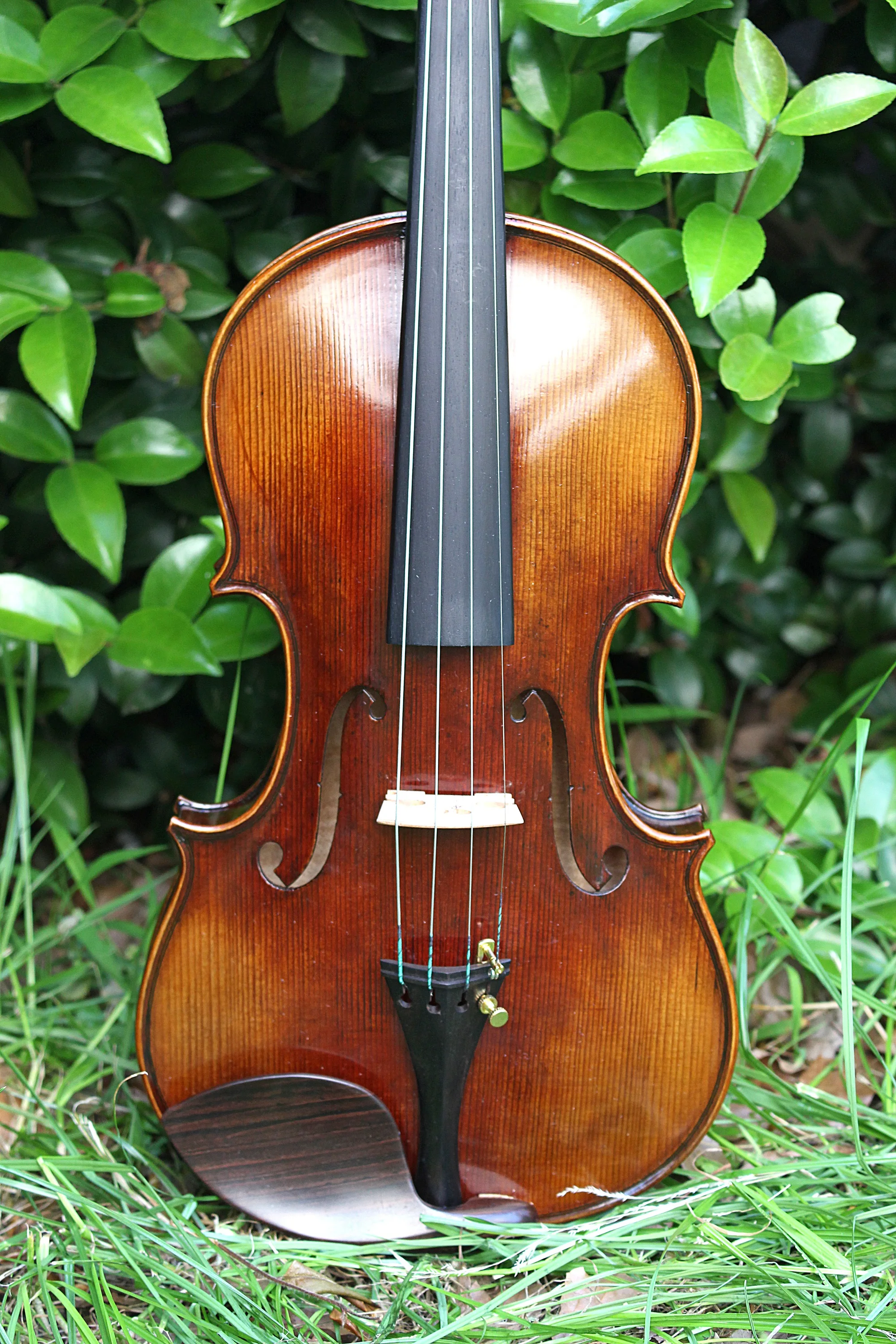 TONGLING Professional Top Master Violin 4/4 Size Handmade Oil Varnish & 20 Years Old European Spruce Antique Violin