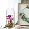 Dia 20cm Free Clear Handcrafted Glass Dome with Brown Wood Stand Home Decor Clear Oval Glass Domes with Base 4