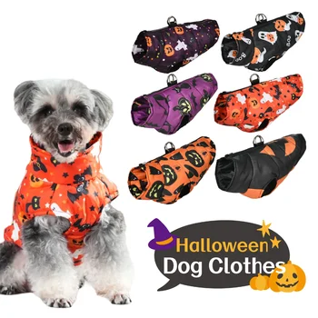 Pumpkin Print Dog Jacket 1