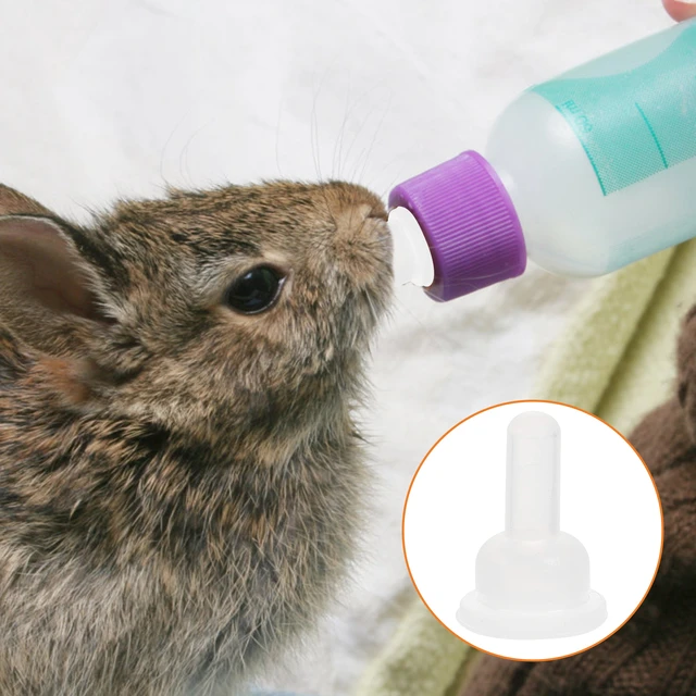 フィードバックボトル ペットの子猫のおしゃぶり シリコン製のひも 点滅する 犬用 小型