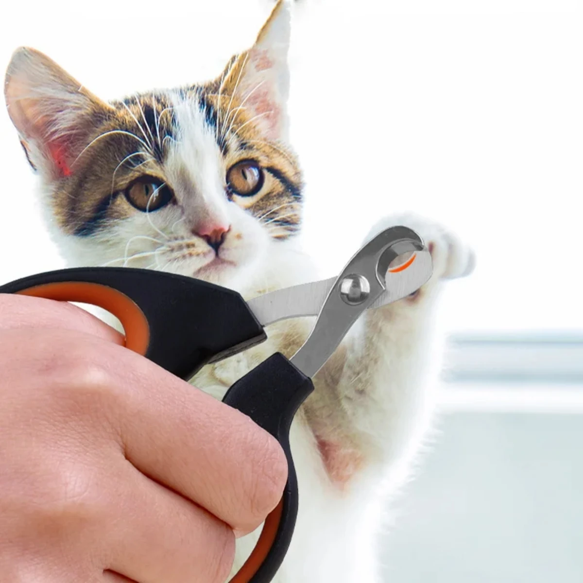 1Pc Pet Nail Clippers Half Moon Shape Stainless Steel Cats Nail Scissors Small Pet Universal Nail Scissors Anti-Scratch Supplies 2