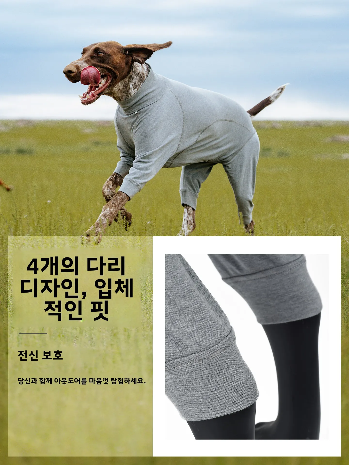 블랙도기 그래핀 웜코어 4족견 의류 애완동물 수면복 발열 온도조절 애완용품 강아지 옷
