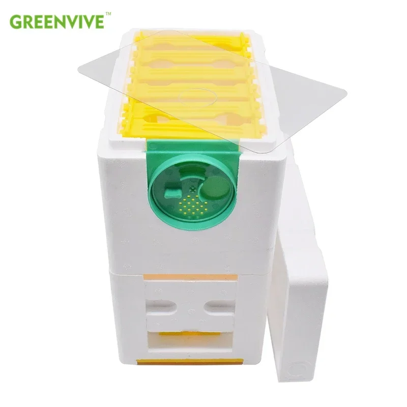 Double Beekeeping King Box Bee Hive Pollination Boxes Harvest Bee Boxes Queen Breeding Tools Nest Case Beekeeping Equipment