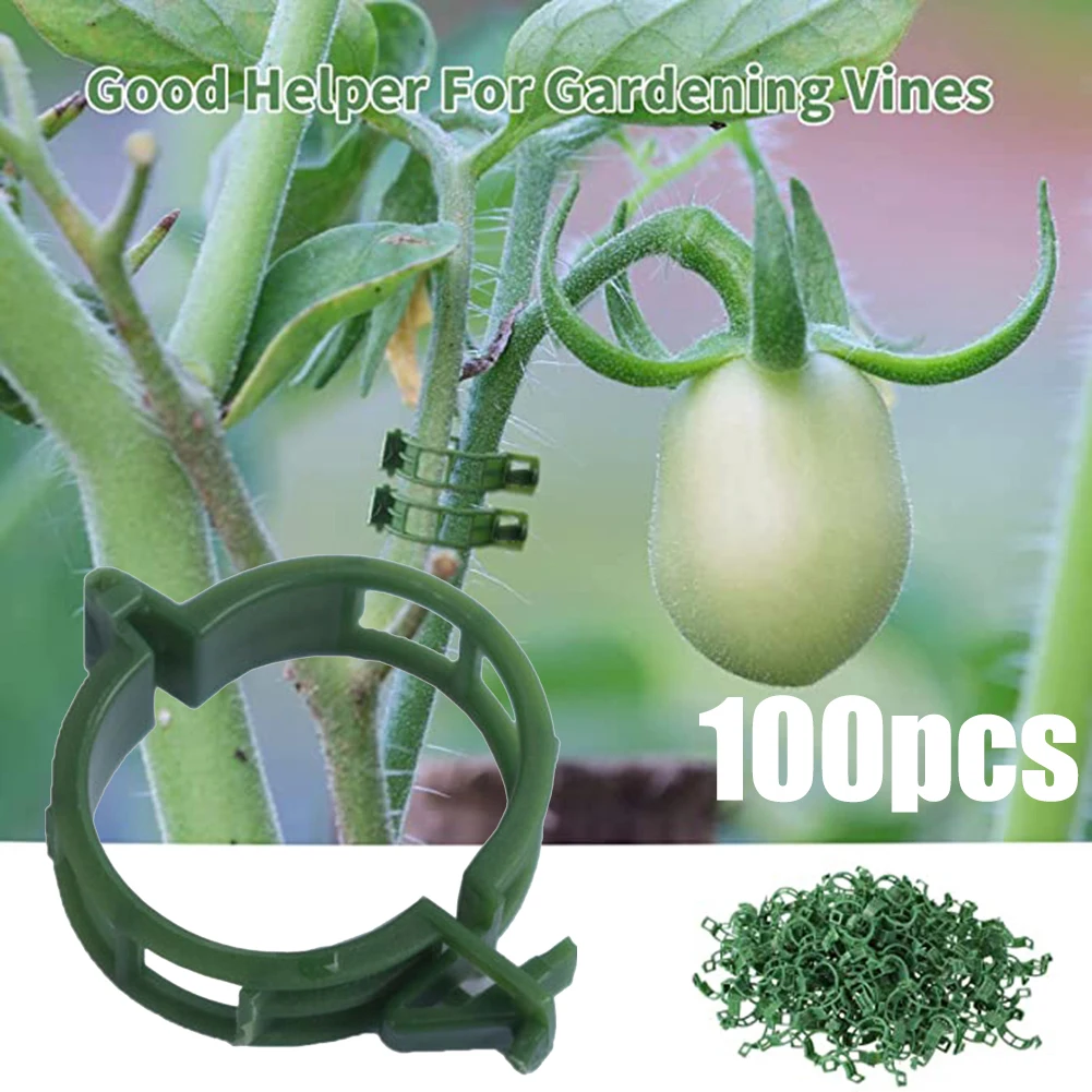 

100Pcs Plant /Support /Clips /Plastic /Ties /Trellis Stake Clips Garden Veggie Tomato Greenhouse Holder Garden Tools Accessories