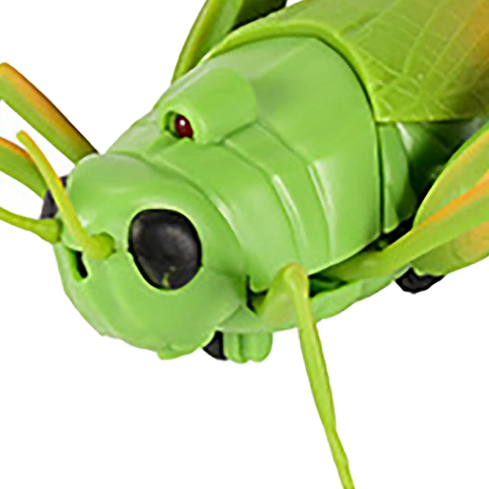 RC Grasshopper Supplies Novelty Toys Remote Control Animal Toy for Adults Kids 6 and Up Children Gift 5