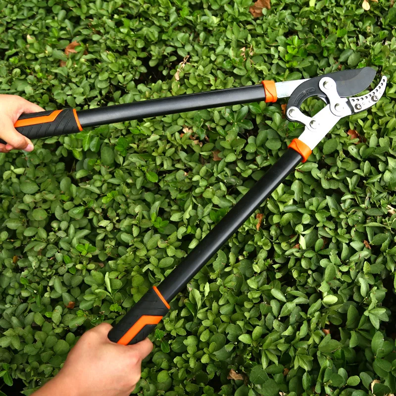 Coarse Branch Shears Strong Shears Telescopic Fruit Tree Pruning Lengthened SK5 Garden Scissors Strong Pruning