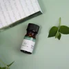 NAMSTE Diiffuser Essential Oil 5ML Aromatherapy Scent Diffuser Oil Fragrance Oil Diffuser For Home Hotel Office Air Freshener 3