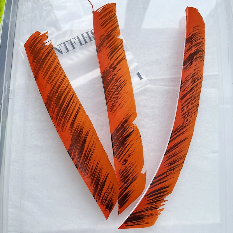 Lot de 100 plumes pleine longueur Trueflight LW Lot de 100 plumes pleine longueur Trueflight LW