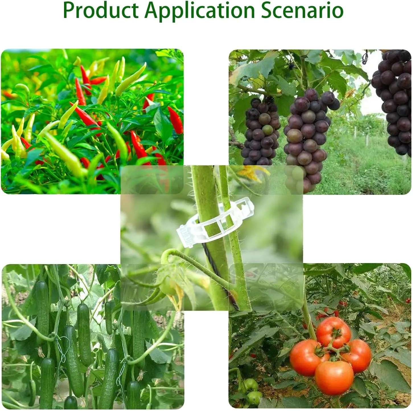 Tomato Clips Plant Clips Vines 50-100Pcs Plastic Trellis Support For Climbing Plants